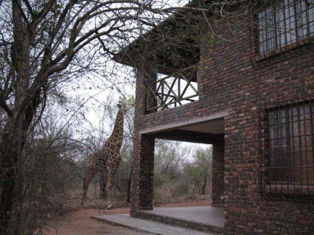 Villa Crowe'S Nest à Marloth Park Extérieur photo